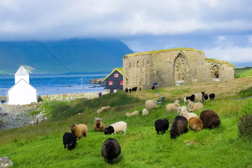 Faroe Islands: the wild Europe that resists mass tourism