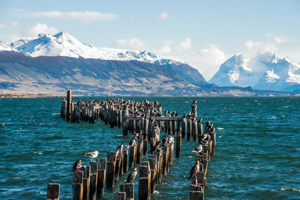 Views from Puerto Natales.