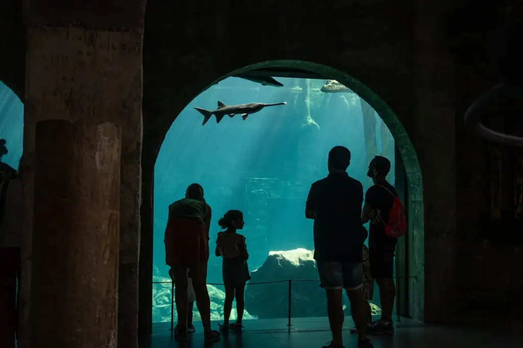 Eyes that don't see... Why these animal parks are vital against biodiversity loss
