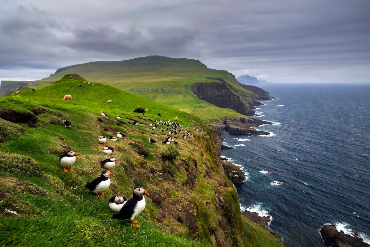 Faroe Islands: the wild Europe that resists mass tourism