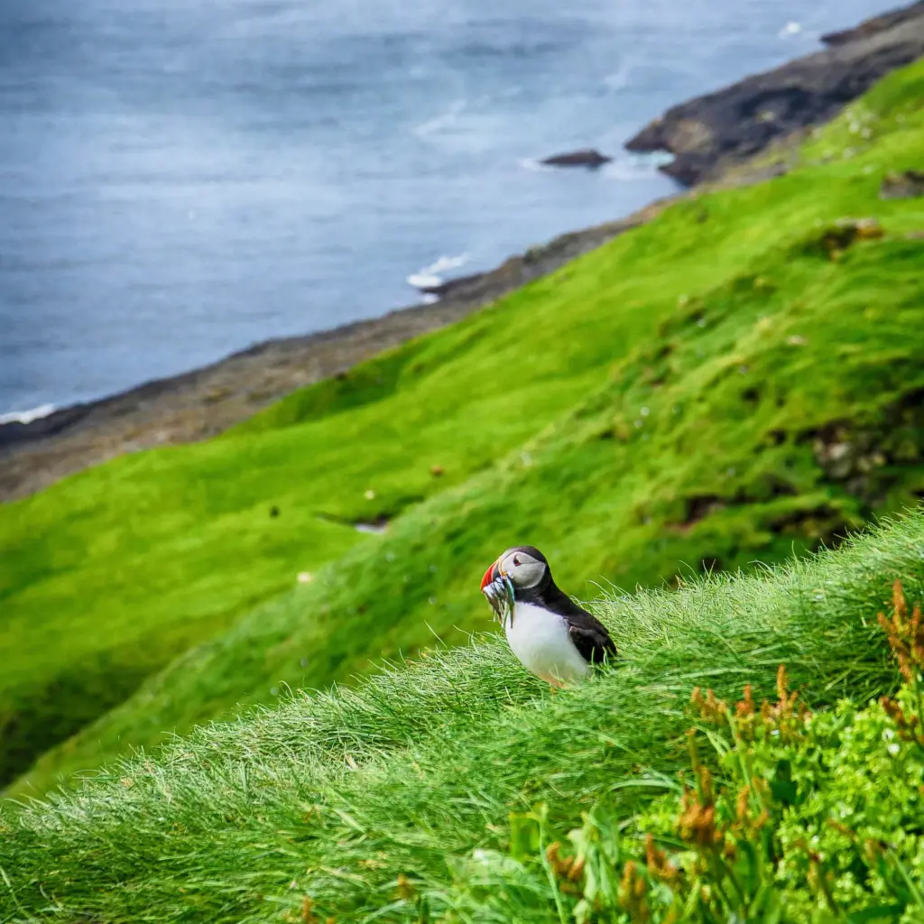 Faroe Islands: the wild Europe that resists mass tourism