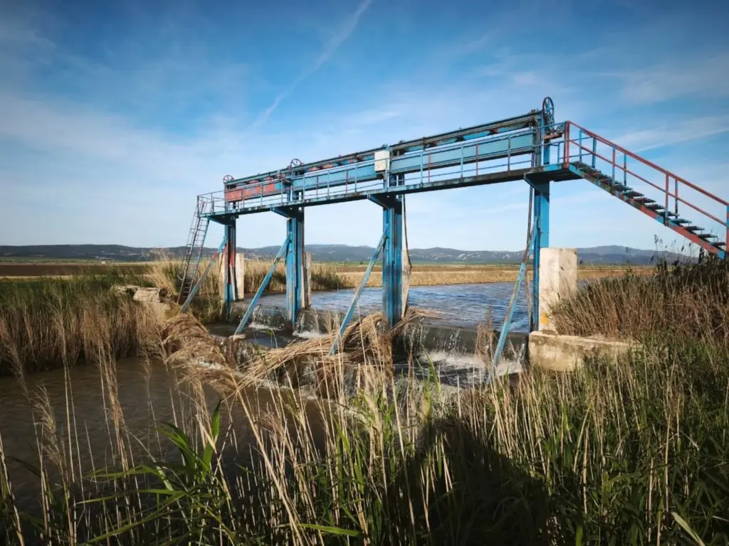 Spain's largest wetland is intentionally dried just one month after record rainfall
