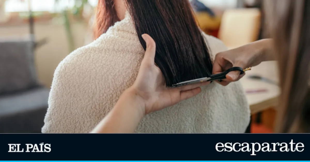 The hairdressing scissors everyone wants: practical, affordable, and with over 31,000 reviews on Amazon
