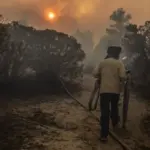 Wildfires in Mexico increase in 2026