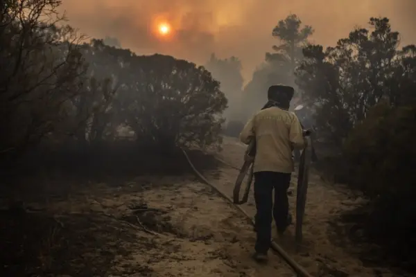Wildfires in Mexico increase in 2026