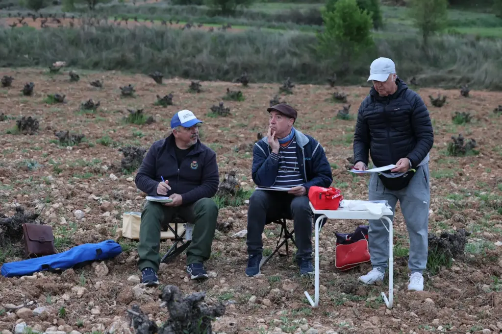 Birdwatchers who count birds: “Some choose a dog or a cat, we choose goldfinches”