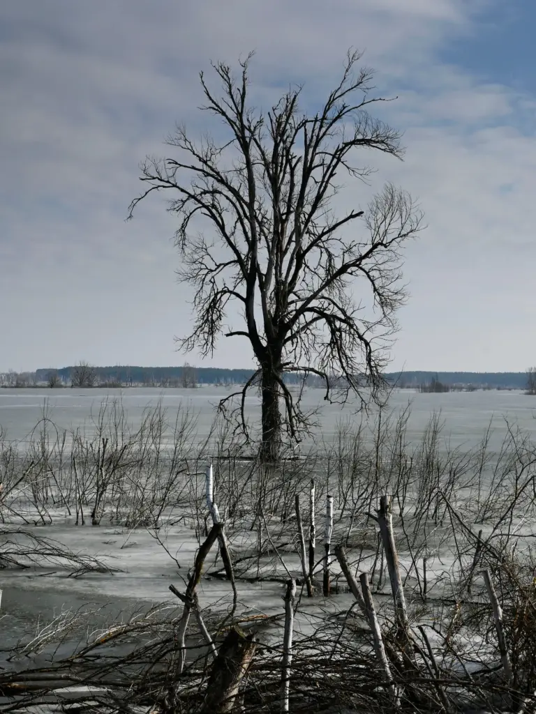 “People live here”: neither the nuclear catastrophe nor the Russian invasion have managed to finish off Chernobyl