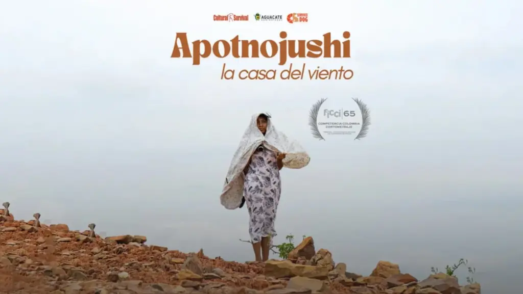 With a complaint about wind energy, Wayuu cinema stands out at the Cartagena International Film Festival