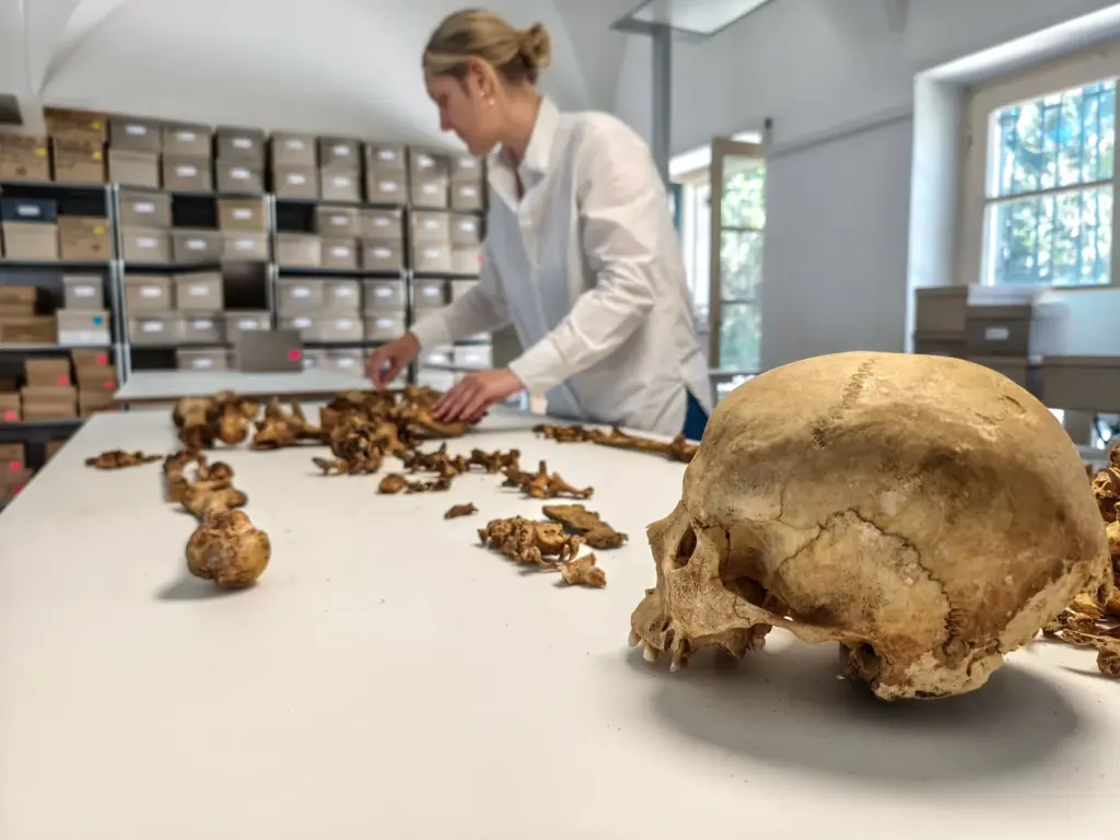 Genetics reveals that the fall of the Roman Empire shaped the European population: “From the beginning, they started to mix”