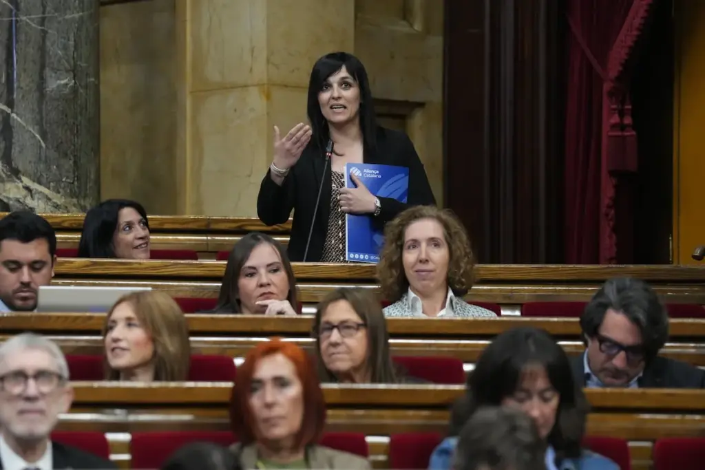 Aliança is left without its candidate for the Barcelona mayoralty and is looking for options