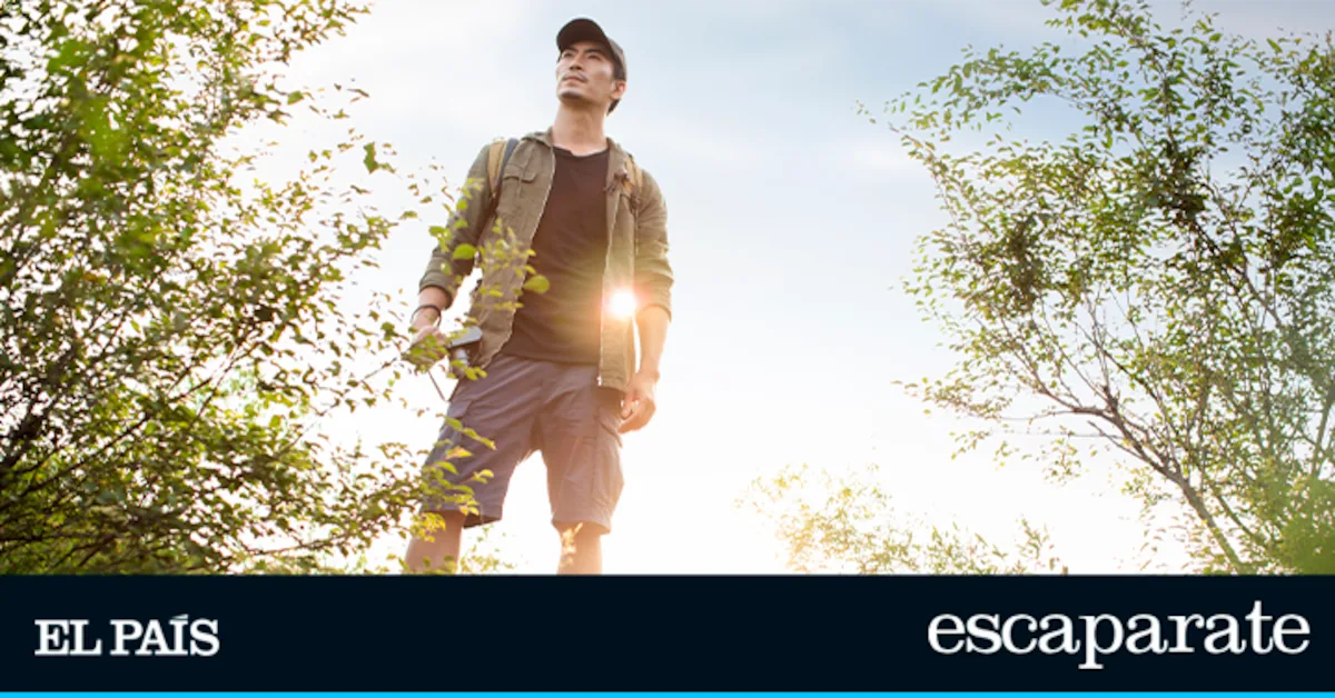 These cargo pants cost less than 20 euros and already have more than 49,000 reviews