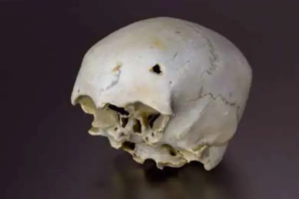 Found in the Bay of Cadiz an almost intact Italian ship sunk by pirate Drake in the 16th century