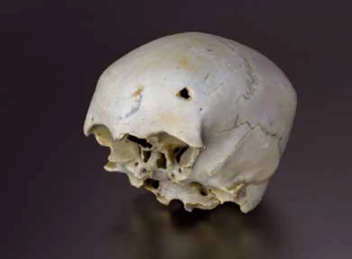 Found in the Bay of Cadiz an almost intact Italian ship sunk by pirate Drake in the 16th century
