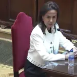 Highlights of Pardo de Vera's statement in the 'mask case'