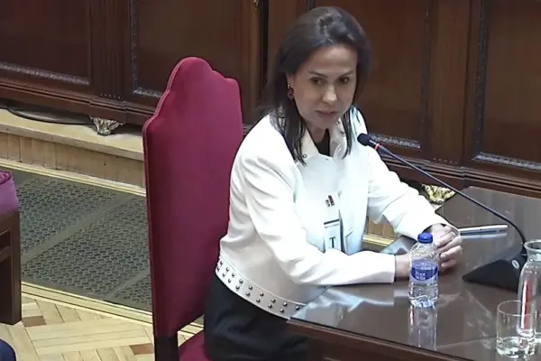 Highlights of Pardo de Vera's statement in the 'mask case'