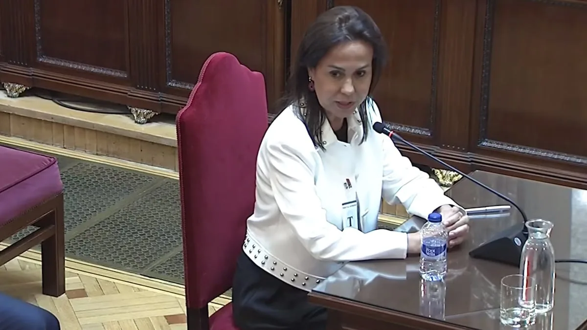 Highlights of Pardo de Vera's statement in the 'mask case'