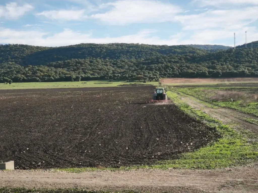 Spain's largest wetland is intentionally dried just one month after record rainfall