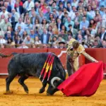Hooray! Protests in La Maestranza