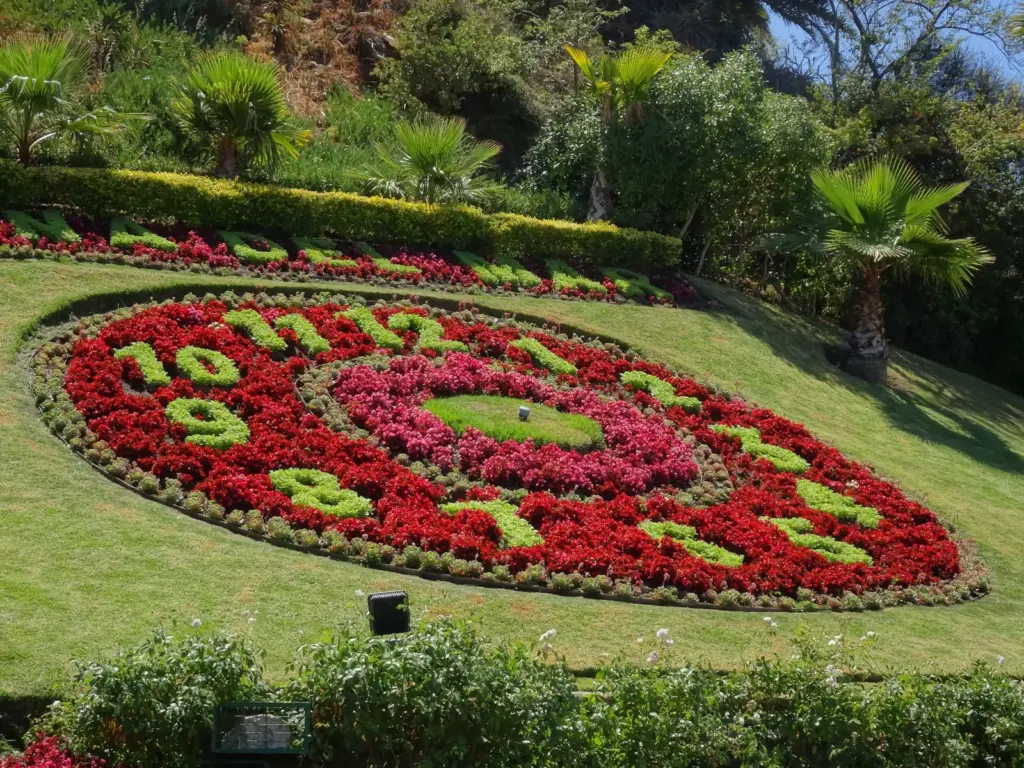 Viña del Mar, the garden city.