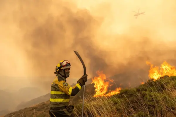 How to support those affected by the El Bierzo fires in court: “People fear retaliation if they report”
