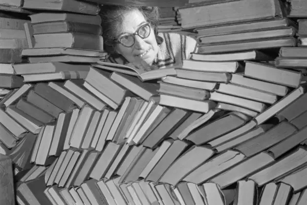 Between bestsellers and 'tiktokers': notes from the Spanish literary middle class