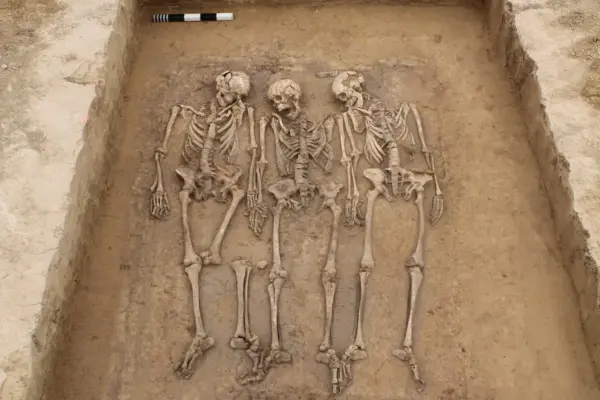 Genetics reveals that the fall of the Roman Empire shaped the European population: “From the beginning, they started to mix”