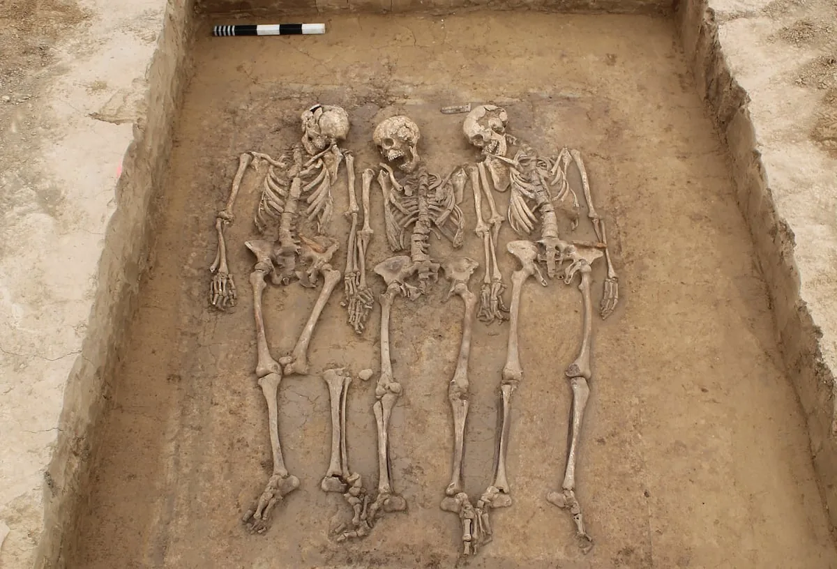 Genetics reveals that the fall of the Roman Empire shaped the European population: “From the beginning, they started to mix”