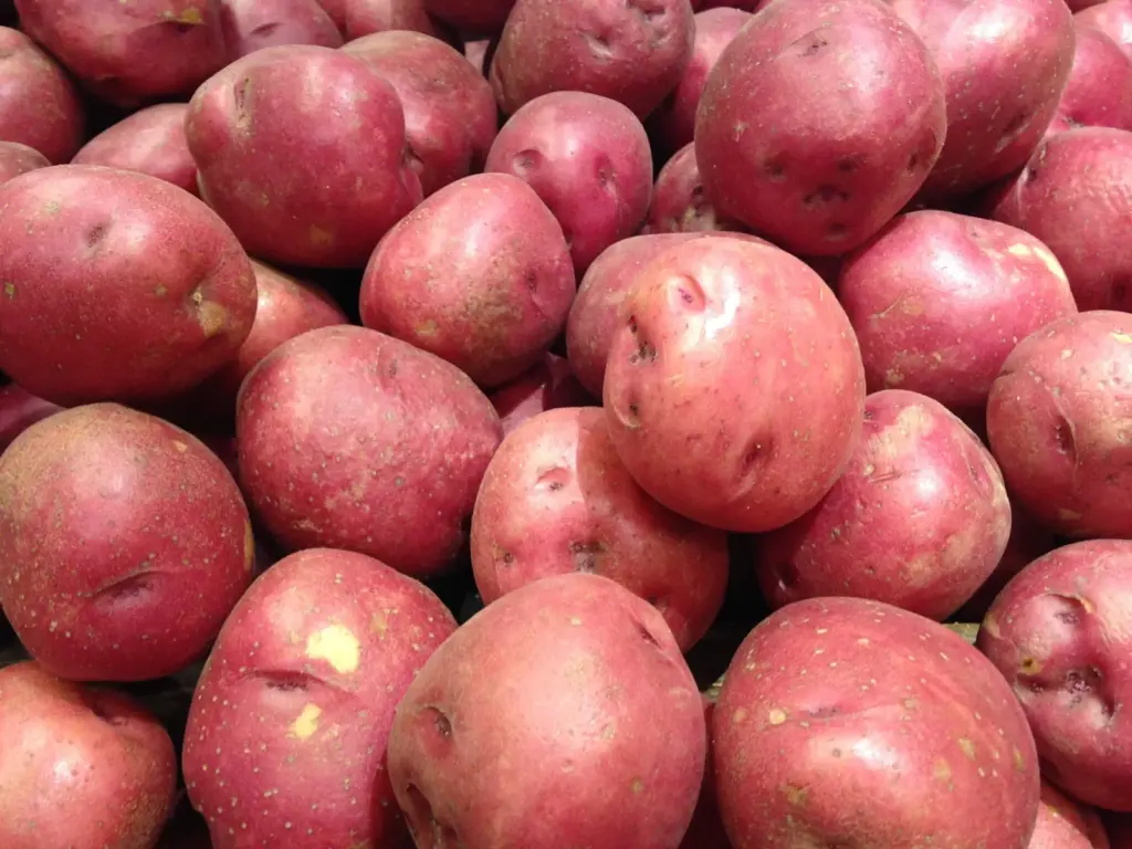 The potato conundrum in Spain: which variety to choose and what each one is for