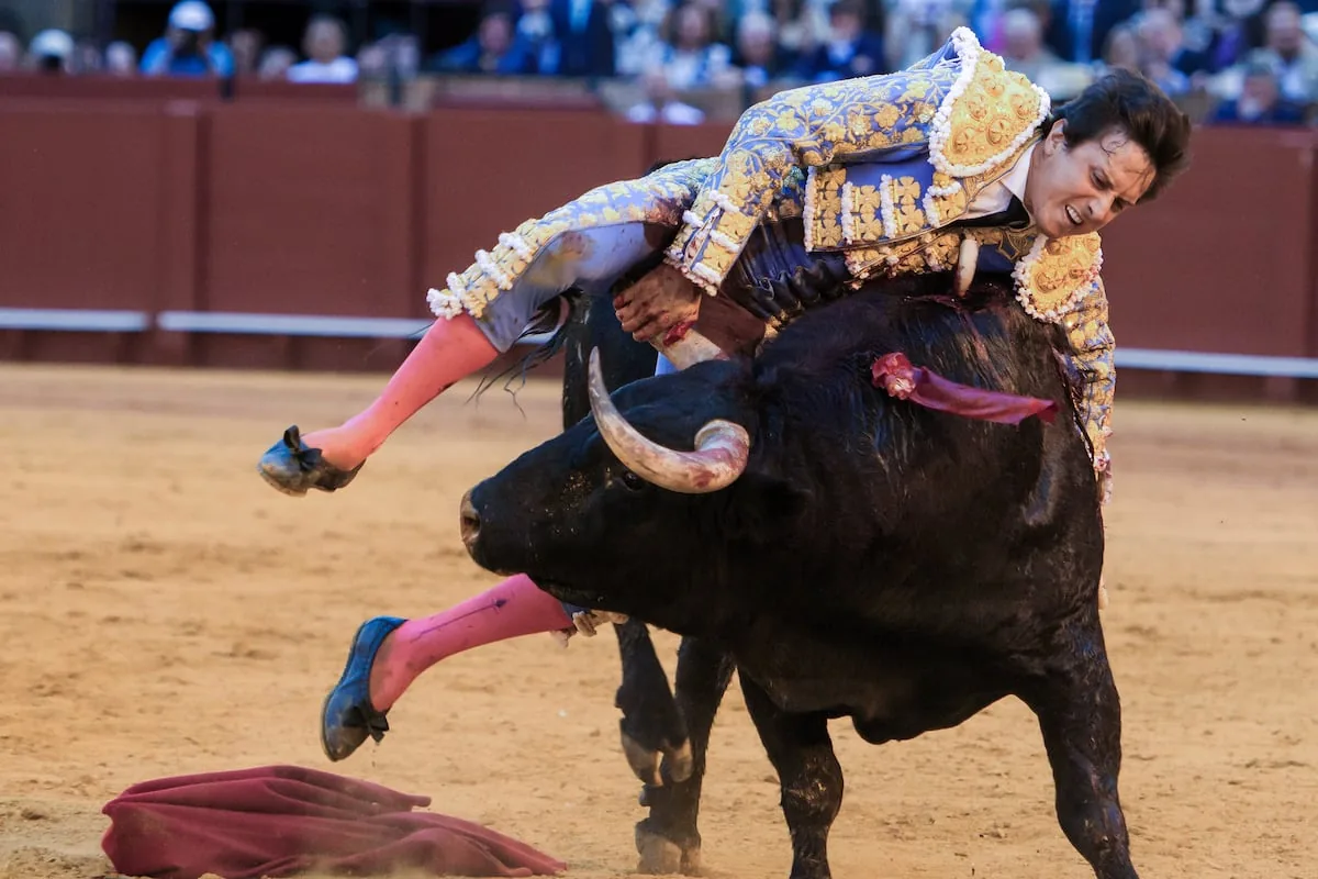 Serious goring for Roca Rey at La Maestranza