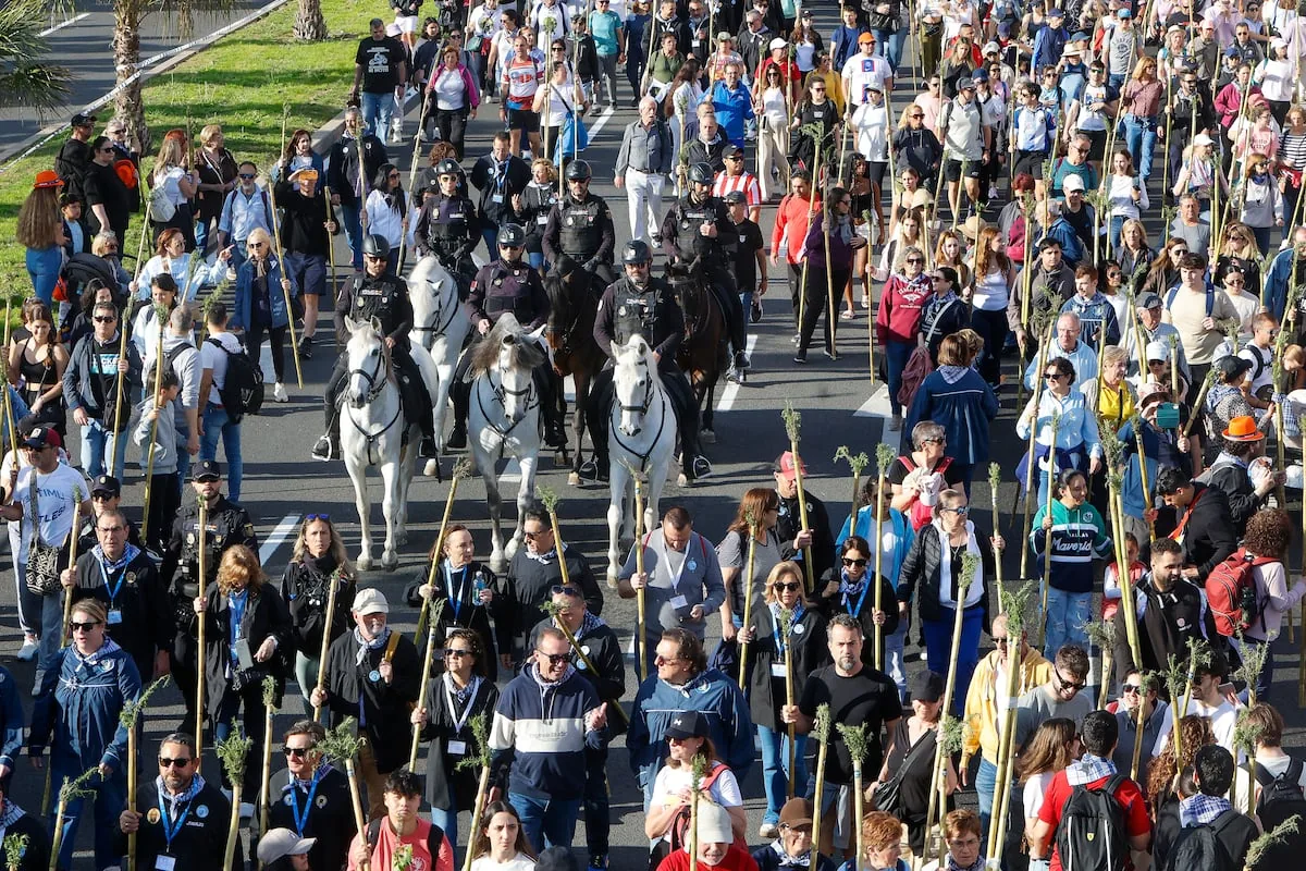 The Romería de la Santa Faz de Alicante goes in one year from Mazón's 'espantá' to obtaining the declaration of Intangible Cultural Heritage