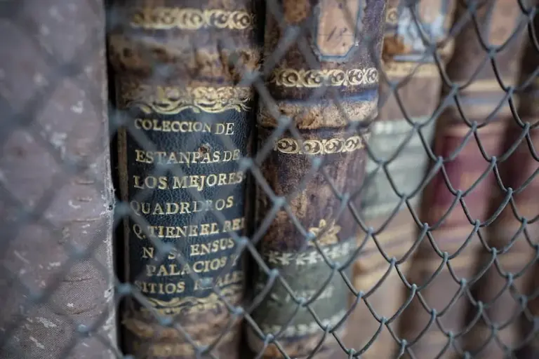 The Fine Arts of Cádiz languish among scaffolding of works