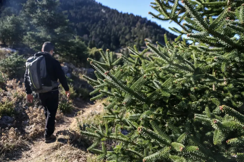 Tolox, the perfect trip in Málaga: waterfalls, mountain trails, and tolita soup at the gateway to the Sierra de las Nieves