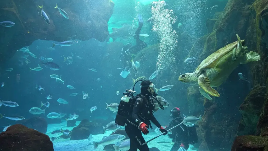Eyes that don't see... Why these animal parks are vital against biodiversity loss