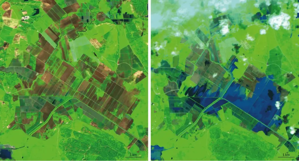 Humedales Doñana
