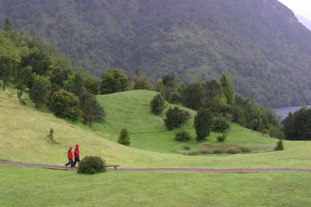 Aikén del Sur Park and its native forests.