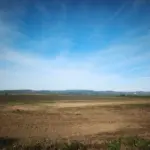 Spain's largest wetland is intentionally dried just one month after record rainfall
