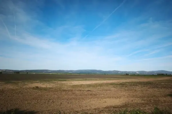Spain's largest wetland is intentionally dried just one month after record rainfall