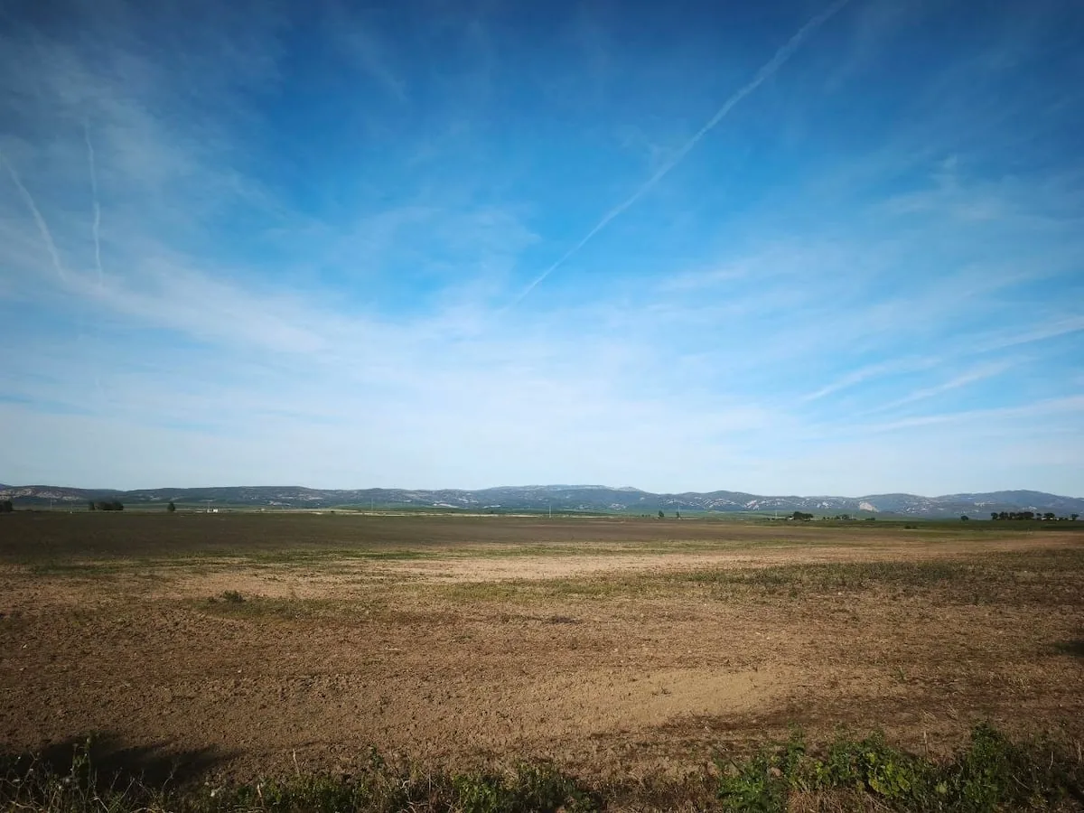 Spain's largest wetland is intentionally dried just one month after record rainfall