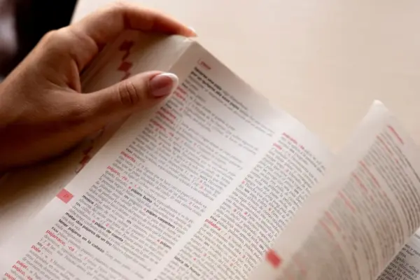 How to explain it? New words for a new world