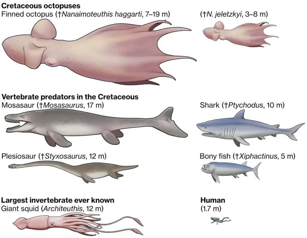 The kraken was real: a 19-meter carnivorous octopus from one hundred million years ago has been discovered