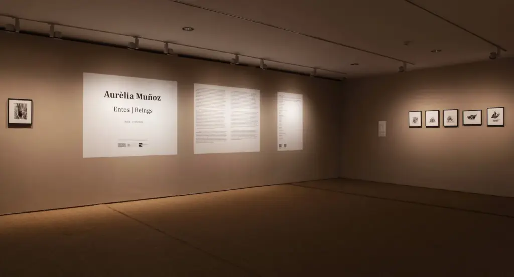 Aurèlia Muñoz, the great artist who survived the category of craftswoman dedicated to “women's work”