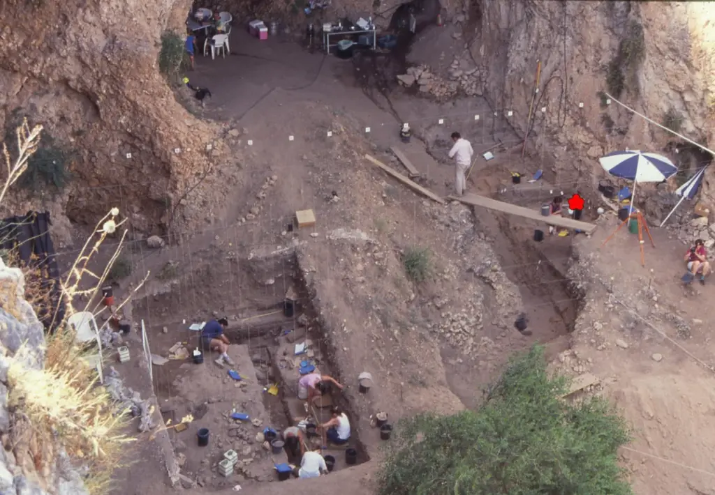 Amud 7, the Neanderthal baby that shows they developed faster than modern humans