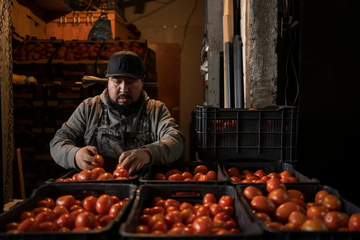 Sheinbaum seeks an agreement with tomato producers to curb inflation