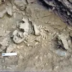 Amud 7, the Neanderthal baby that shows they developed faster than modern humans