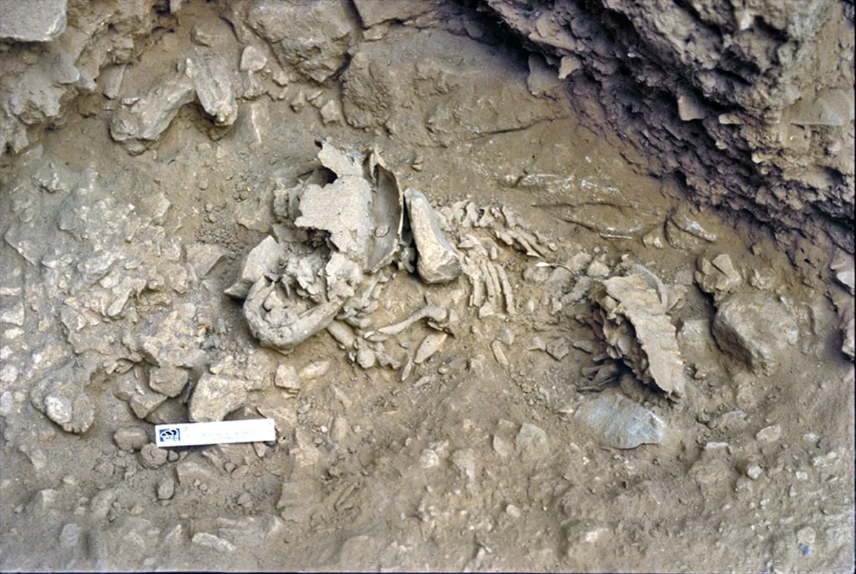 Amud 7, the Neanderthal baby that shows they developed faster than modern humans
