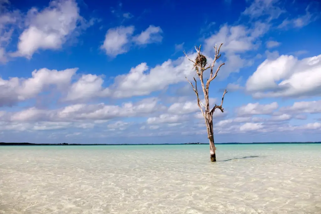 The Bahamas and its pink sand beaches, where the landscape becomes unreal