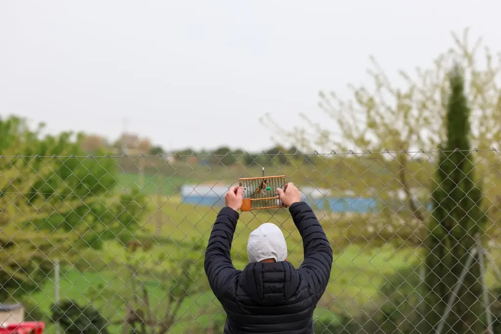 Birdwatchers who count birds: “Some choose a dog or a cat, we choose goldfinches”