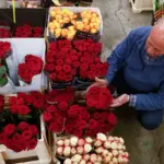 Joan Guillén, president of the florists' guild: “Students who sell roses are not competition if there is a social cause behind it”