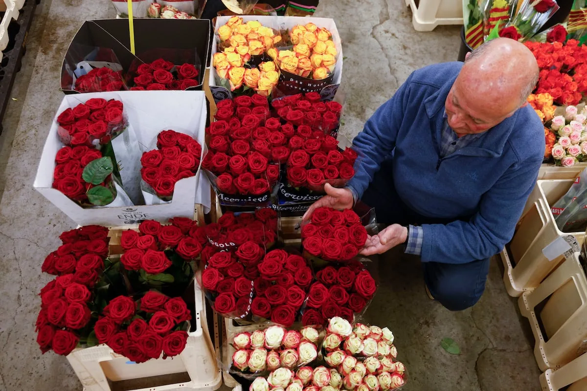 Joan Guillén, president of the florists' guild: “Students who sell roses are not competition if there is a social cause behind it”
