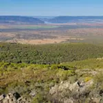 By jet right to the gate of the hunting reserve: the "full-throttle luxury" drives the sixth private airport just in Ciudad Real
